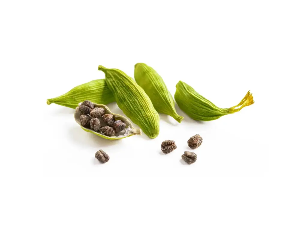 GREEN CARDAMOM, Best Premium Spices - whole, REMPAH2, Intense Taste 