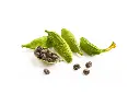 GREEN CARDAMOM, Best Premium Spices - whole, REMPAH2, Intense Taste 